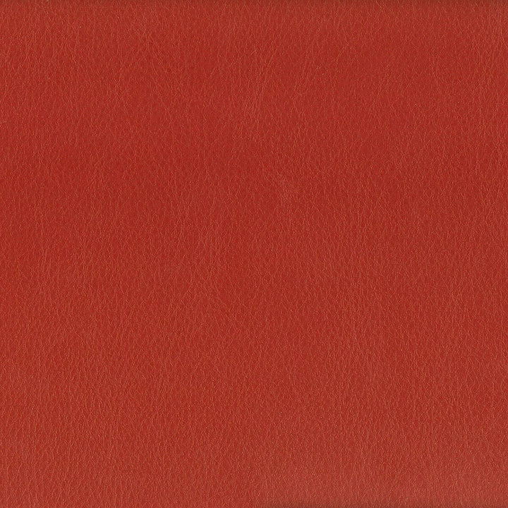 Hayride 13 Pepper by Stout Fabric ON THE GO 100%PVC 1%OTH TAIWAN FLAME RETARDANT-U.F.A.C. CLASS 1 FLAME RETARDANT-N.F.P.A. 260A CLASS 1 CATB 117-2013 WYZENBEEK 20 000 DOUBLE RUB WEAR TEST (HEAVY DUTY) Horizontal: 0.000 and Vertical: 0.000 54 in - Fabric Carolina -