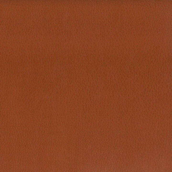 Hayride 14 Nutmeg by Stout Fabric On The Go 100% Polyvinylchloride 1% Other TAIWAN FLAME RETARDANT-CA BULLETIN 117-SECTION E FLAME RETARDANT-U.F.A.C. CLASS 1 (OR A) FLAME RETARDANT-N.F.P.A. 260A CLASS 1 FLAME RETARDANT-FMVSS 302 WYZENBEEK 500 000 DOUBLE RUB WEAR TEST(EXTREMELY HEAVY DUTY) Horizontal: 0 and Vertical: 0 54 in - Fabric Carolina -