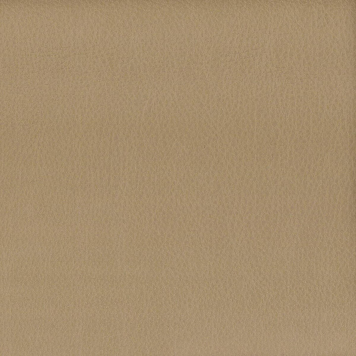 Hayride 15 Agate by Stout Fabric On The Go 100% Polyvinylchloride 1% Other TAIWAN FLAME RETARDANT-CA BULLETIN 117-SECTION E FLAME RETARDANT-U.F.A.C. CLASS 1 (OR A) FLAME RETARDANT-N.F.P.A. 260A CLASS 1 FLAME RETARDANT-FMVSS 302 WYZENBEEK 500 000 DOUBLE RUB WEAR TEST(EXTREMELY HEAVY DUTY) Horizontal: 0 and Vertical: 0 54 in - Fabric Carolina -