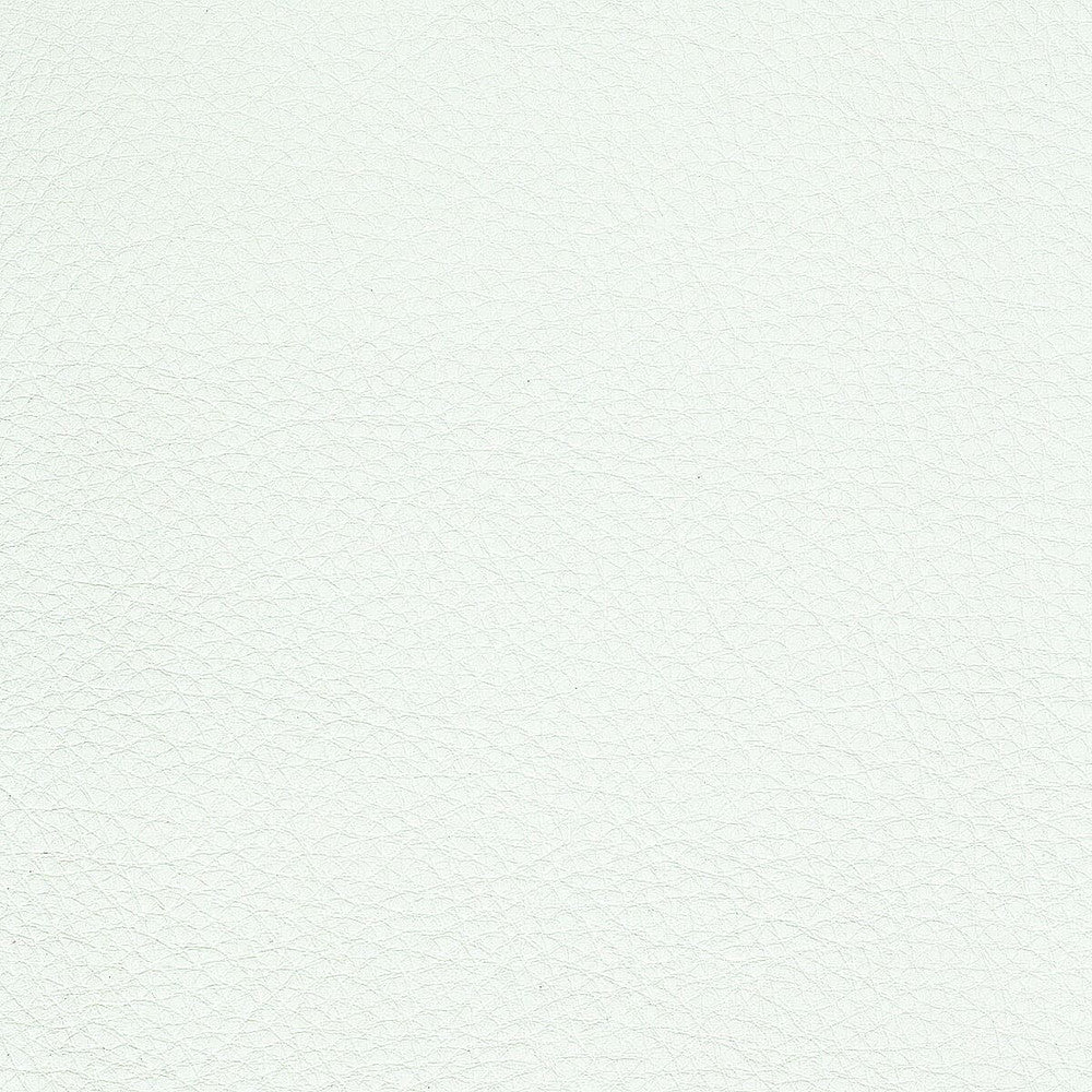 Hayride 16 Bleach by Stout Fabric On The Go 100% Polyvinylchloride 1% Other TAIWAN FLAME RETARDANT-CA BULLETIN 117-SECTION E FLAME RETARDANT-U.F.A.C. CLASS 1 (OR A) FLAME RETARDANT-N.F.P.A. 260A CLASS 1 FLAME RETARDANT-FMVSS 302 WYZENBEEK 500 000 DOUBLE RUB WEAR TEST(EXTREMELY HEAVY DUTY) Horizontal: 0 and Vertical: 0 54 in - Fabric Carolina -