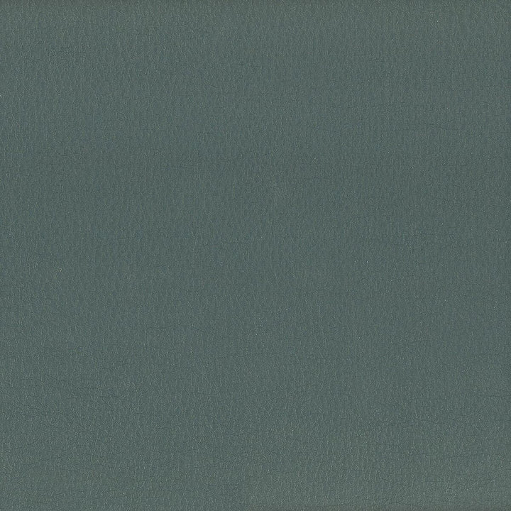 Hayride 2 Dresden by Stout Fabric On The Go 100% Polyvinylchloride 1% Other TAIWAN FLAME RETARDANT-CA BULLETIN 117-SECTION E FLAME RETARDANT-U.F.A.C. CLASS 1 (OR A) FLAME RETARDANT-N.F.P.A. 260A CLASS 1 FLAME RETARDANT-FMVSS 302 WYZENBEEK 500 000 DOUBLE RUB WEAR TEST(EXTREMELY HEAVY DUTY) Horizontal: 0 and Vertical: 0 54 in - Fabric Carolina -