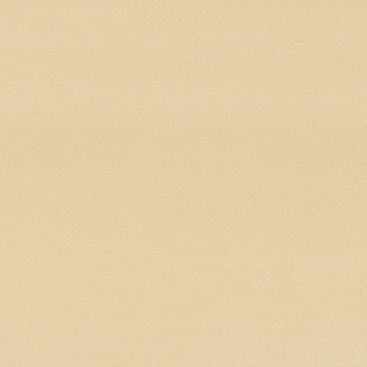 Hayride 5 Putty by Stout Fabric ON THE GO 100%PVC 1%OTH TAIWAN FLAME RETARDANT-CA BULLETIN 117-SECTION E FLAME RETARDANT-U.F.A.C. CLASS 1 FLAME RETARDANT-N.F.P.A. 260A CLASS 1 FLAME RETARDANT-FMVSS 302 WYZENBEEK 500 000 DOUBLE RUB WEAR TEST(EXTREMELY HEAVY DUTY) </p><p>Repeat: 0 54 in - Fabric Carolina -