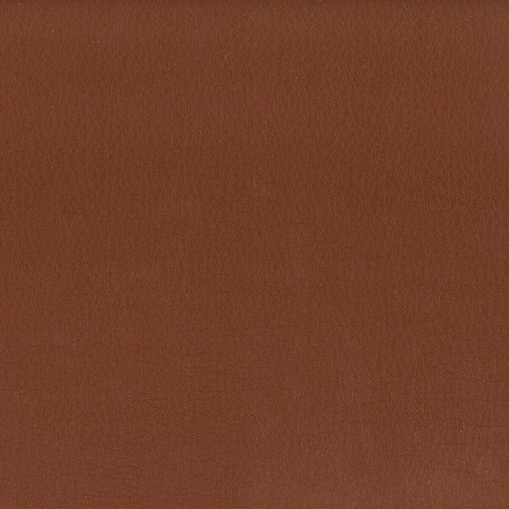 Hayride 6 Chestnut by Stout Fabric ON THE GO 100%PVC 1%OTH TAIWAN FLAME RETARDANT-CA BULLETIN 117-SECTION E FLAME RETARDANT-U.F.A.C. CLASS 1 FLAME RETARDANT-N.F.P.A. 260A CLASS 1 FLAME RETARDANT-FMVSS 302 WYZENBEEK 500 000 DOUBLE RUB WEAR TEST(EXTREMELY HEAVY DUTY) Horizontal: 0 and Vertical: 0 54 in - Fabric Carolina -
