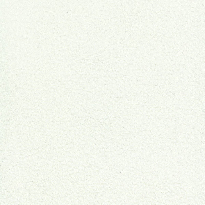 Hayride 8 Eggshell by Stout Fabric ON THE GO 100%PVC 1%OTH TAIWAN FLAME RETARDANT-CA BULLETIN 117-SECTION E FLAME RETARDANT-U.F.A.C. CLASS 1 FLAME RETARDANT-N.F.P.A. 260A CLASS 1 FLAME RETARDANT-FMVSS 302 WYZENBEEK 500 000 DOUBLE RUB WEAR TEST(EXTREMELY HEAVY DUTY) Horizontal: 0 and Vertical: 0 54 in - Fabric Carolina -