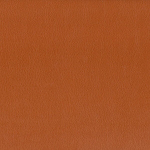 Hayride 9 Gingersnap by Stout Fabric