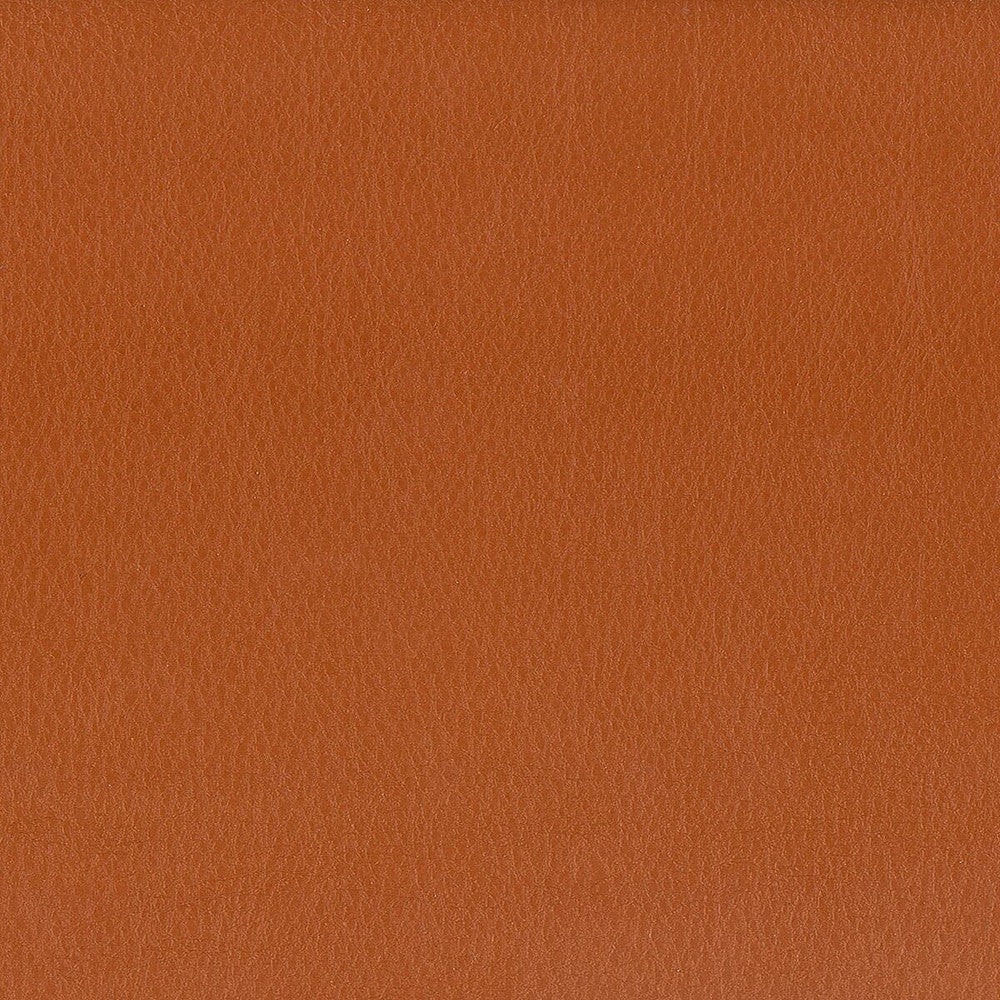 Hayride 9 Gingersnap by Stout Fabric ON THE GO 100%PVC 1%OTH TAIWAN FLAME RETARDANT-CA BULLETIN 117-SECTION E FLAME RETARDANT-U.F.A.C. CLASS 1 FLAME RETARDANT-N.F.P.A. 260A CLASS 1 FLAME RETARDANT-FMVSS 302 WYZENBEEK 500 000 DOUBLE RUB WEAR TEST(EXTREMELY HEAVY DUTY) Horizontal: 0 and Vertical: 0 54 in - Fabric Carolina -