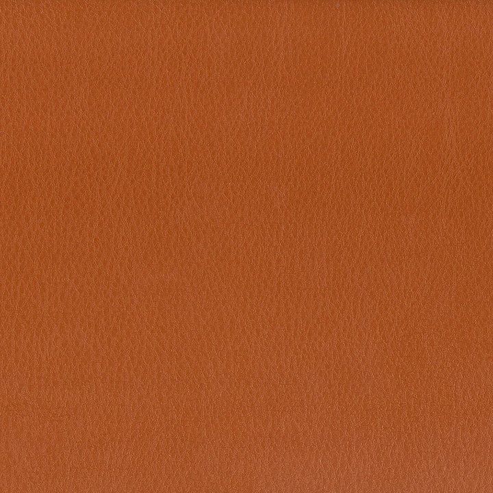 Hayride 9 Gingersnap by Stout Fabric ON THE GO 100%PVC 1%OTH TAIWAN FLAME RETARDANT-CA BULLETIN 117-SECTION E FLAME RETARDANT-U.F.A.C. CLASS 1 FLAME RETARDANT-N.F.P.A. 260A CLASS 1 FLAME RETARDANT-FMVSS 302 WYZENBEEK 500 000 DOUBLE RUB WEAR TEST(EXTREMELY HEAVY DUTY) Horizontal: 0 and Vertical: 0 54 in - Fabric Carolina -