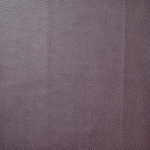 Honcho # 106 Date by Maxwell Fabric