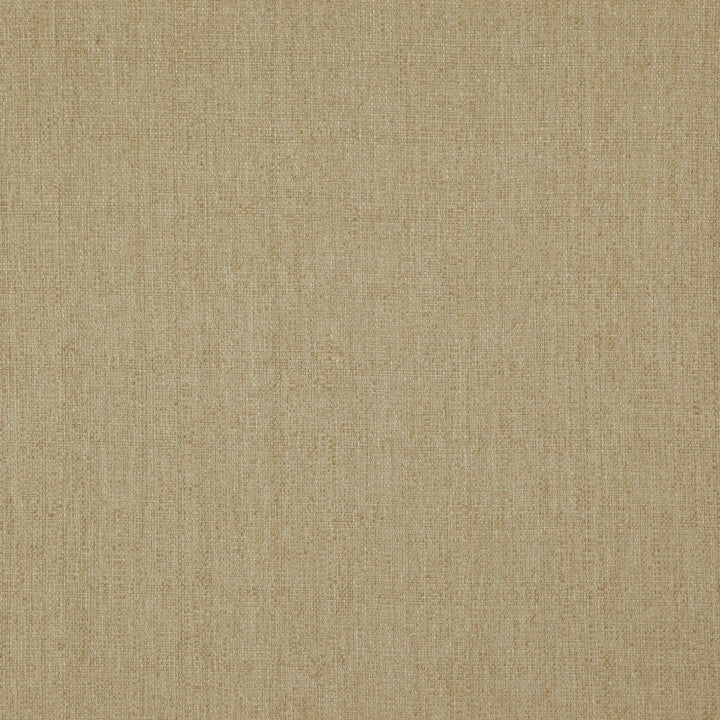 Heather 16J7571 by JF Designer Fabric Heather Book 100% Polyester India 85000 Horizontal: and Vertical: 54 - Swanky Fabrics -