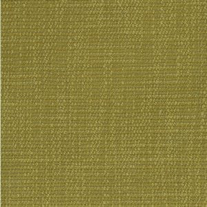 Hermosa Pear by Norbar Fabric See Sample 41 POLYESTER 38 VISCOSE INDIA 50,000 WYZENBEEK 55 - Fabric Carolina -