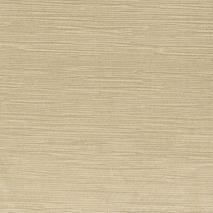 Heroic 8 Sandstone by Stout Fabric Settle In 100% Polyester CHINA FLAME RETARDANT-U.F.A.C. CLASS 1 (OR A) FLAME RETARDANT-N.F.P.A. 260A CLASS 1 CATB 117-2013 WYZENBEEK 90 000 DOUBLE RUB WEAR TEST (HEAVY DUTY) Horizontal: 0 and Vertical: 0 56 in - Fabric Carolina -