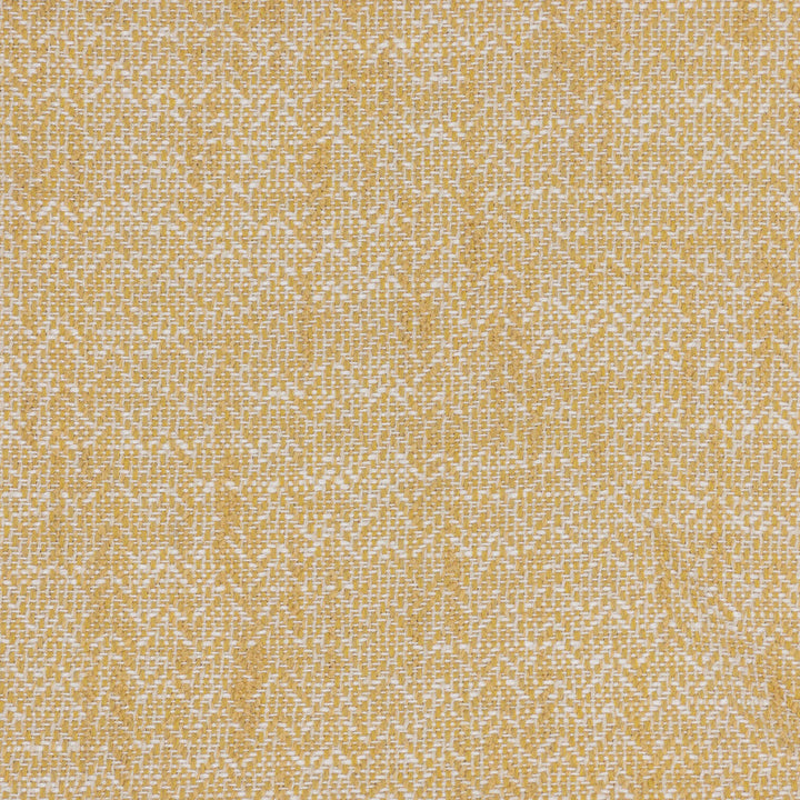 Hewlett 1 Harvest by Stout Fabric Stout Fabric Hewlett 1 HarvestFabric THE ART OF COLOR OASIS 34%SVI 66%POL USA </p><p>Repeat: H: 0.000, V: 0.000 54 in - Fabric Carolina -