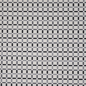 Home Run # 337 Silver Fox by Maxwell Fabric
