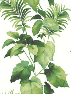 Leaf Stripe Summer Fern by Seabrook Wallpaper