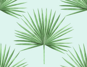 Pacific Palm Celeste & Jade by Seabrook Wallpaper
