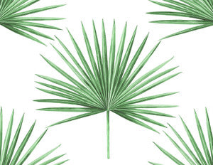 Pacific Palm Greenery by Seabrook Wallpaper