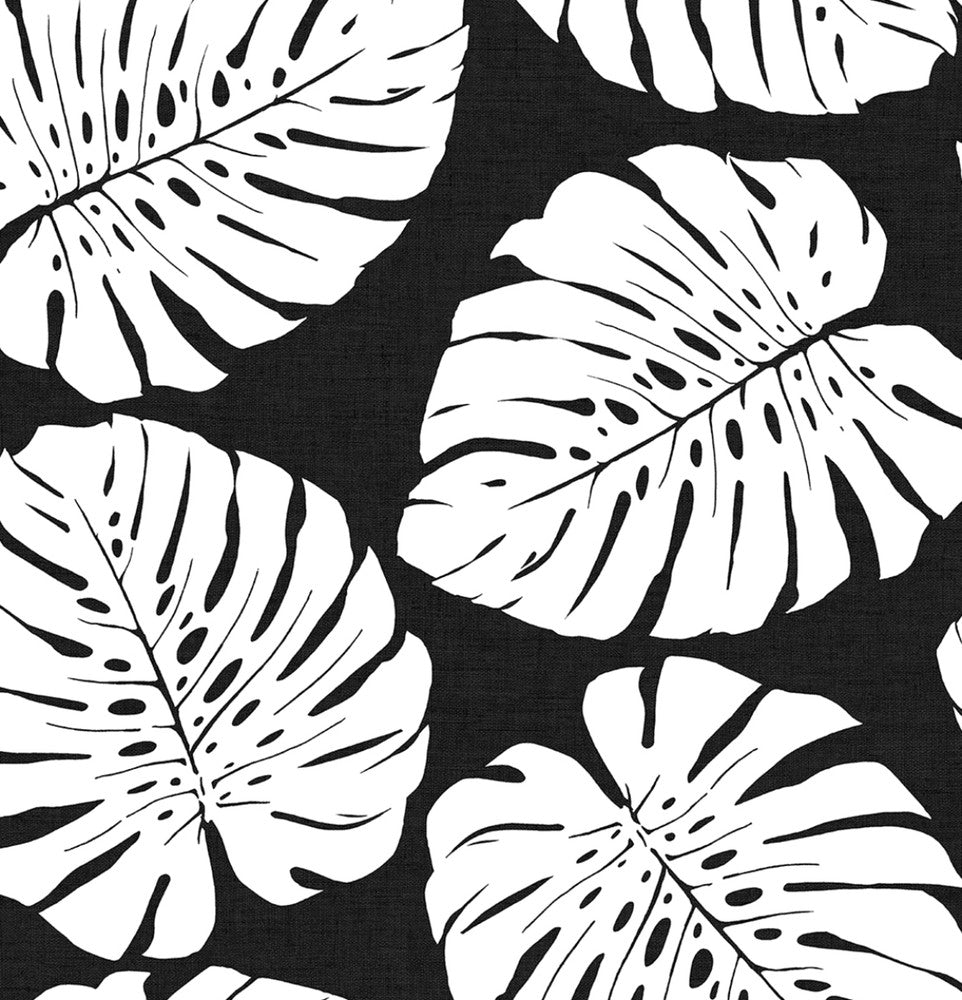 Monstera Leaf Shadow by Seabrook Wallpaper Harry & Grace Peel and Stick United States 30.75 20.87" 20.5" - Fabric Carolina -