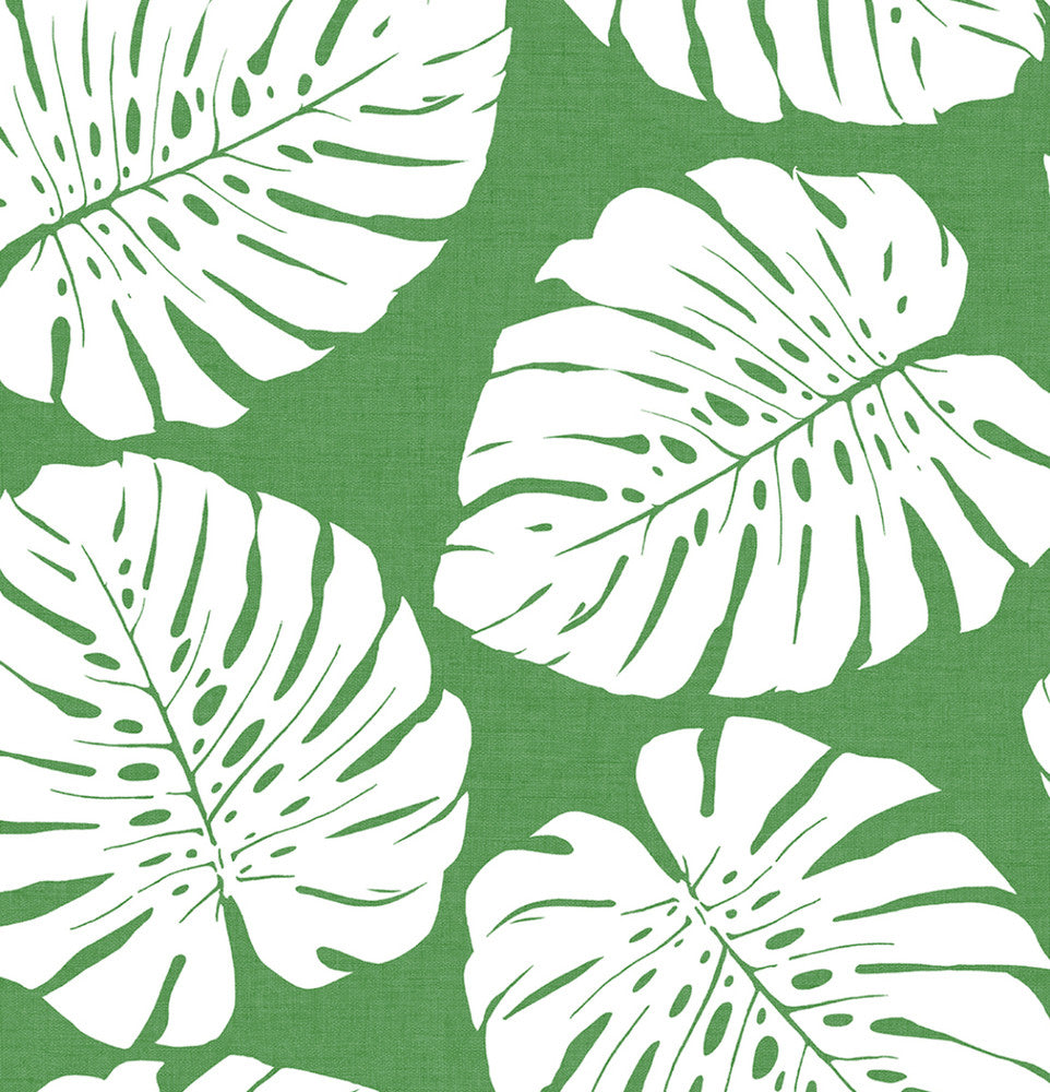 Monstera Leaf Green by Seabrook Wallpaper Harry & Grace Peel and Stick United States 30.75 20.87" 20.5" - Fabric Carolina -