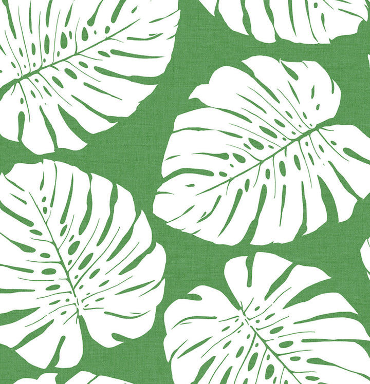 Monstera Leaf Green by Seabrook Wallpaper Harry & Grace Peel and Stick United States 30.75 20.87" 20.5" - Fabric Carolina -