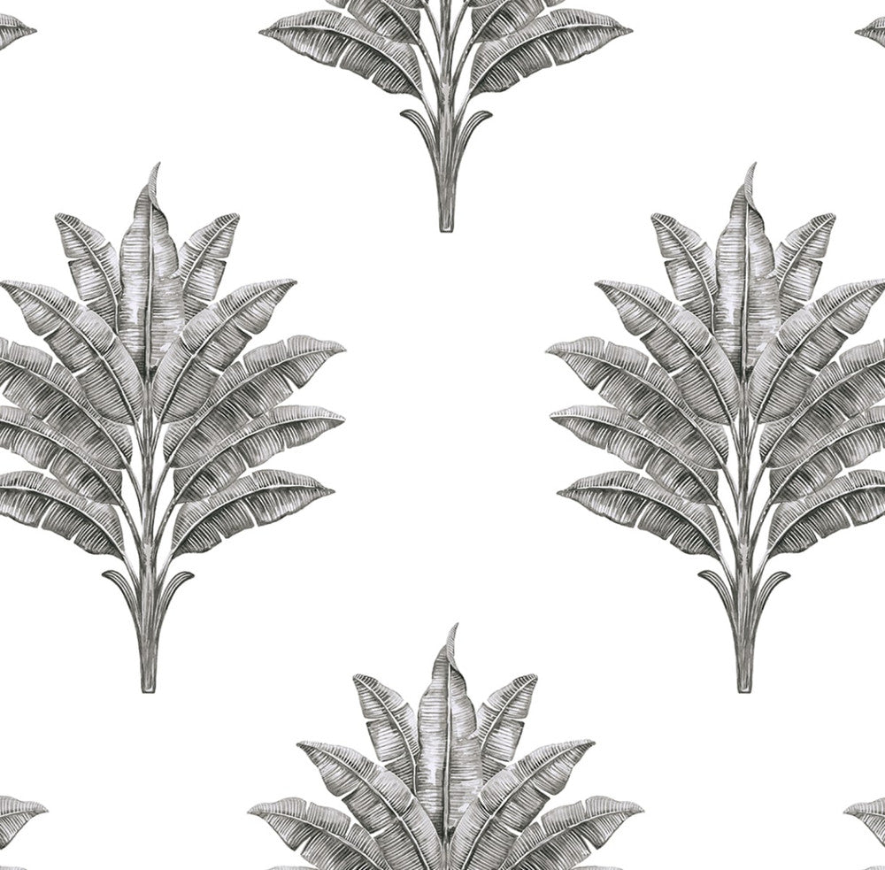 Sea Breeze Palm Charcoal by Seabrook Wallpaper Harry & Grace Peel and Stick United States 40.5 20.87" 27" - Fabric Carolina -
