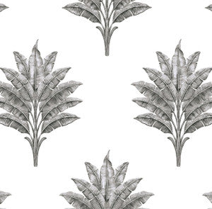 Sea Breeze Palm Charcoal by Seabrook Wallpaper