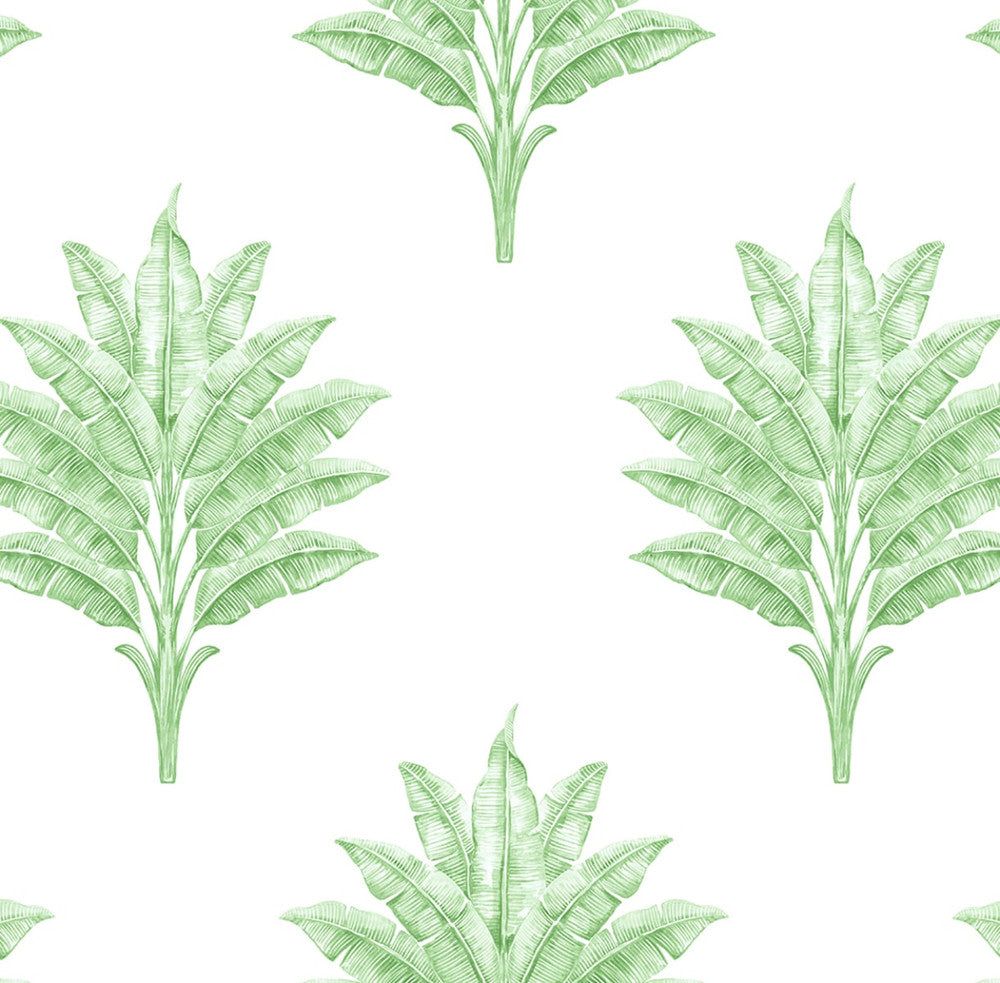 Sea Breeze Palm Greenery by Seabrook Wallpaper Harry & Grace Peel and Stick United States 40.5 20.87" 27" - Fabric Carolina -