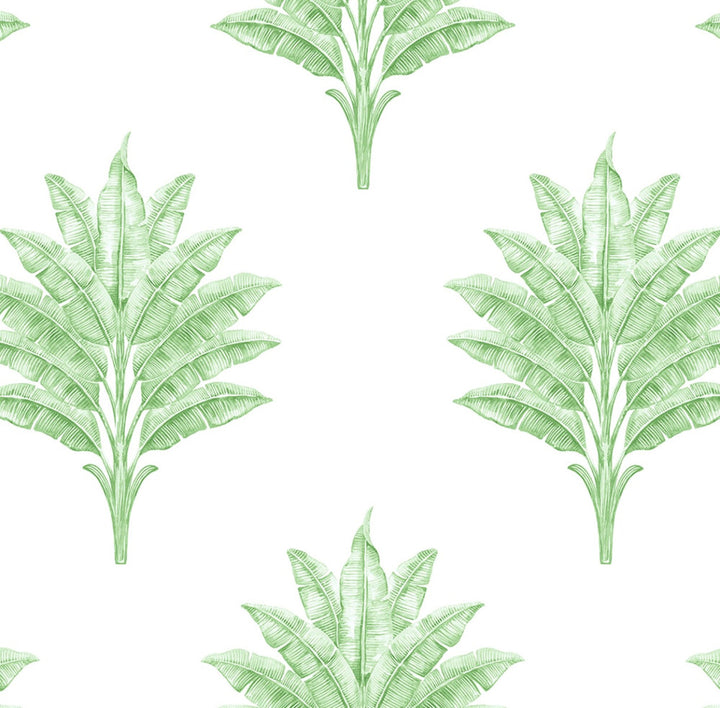 Sea Breeze Palm Greenery by Seabrook Wallpaper Harry & Grace Peel and Stick United States 40.5 20.87" 27" - Fabric Carolina -
