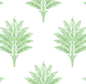 Sea Breeze Palm Greenery by Seabrook Wallpaper