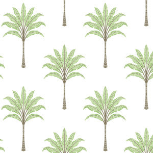 Montgomery Palm Green Tea by Seabrook Wallpaper