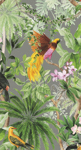 Tropical Bird Grey by Seabrook Wallpaper