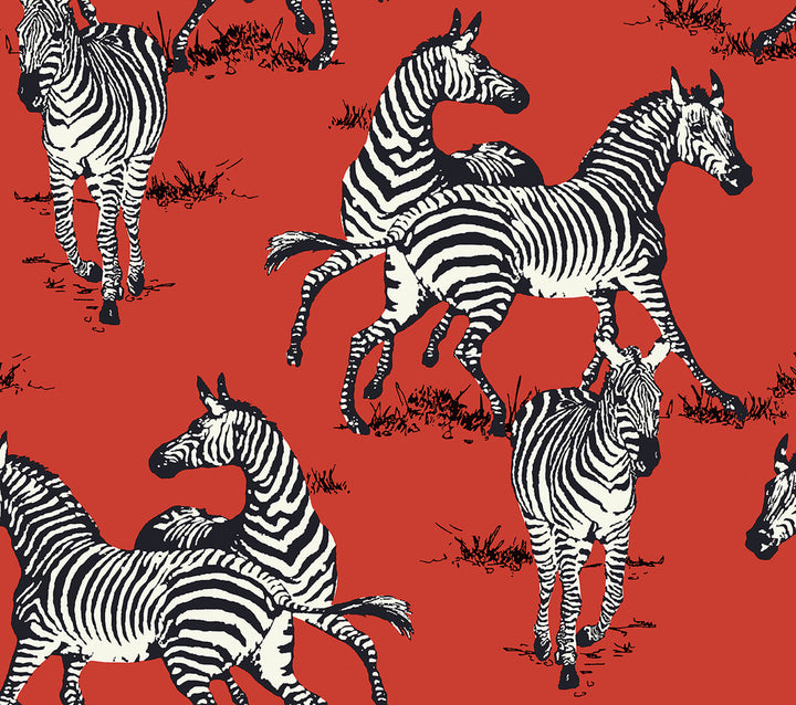 Playful Zebras Red by Seabrook Wallpaper Harry & Grace Peel and Stick United States 40.5 24" 27" - Fabric Carolina -