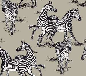 Playful Zebras Pavestone by Seabrook Wallpaper