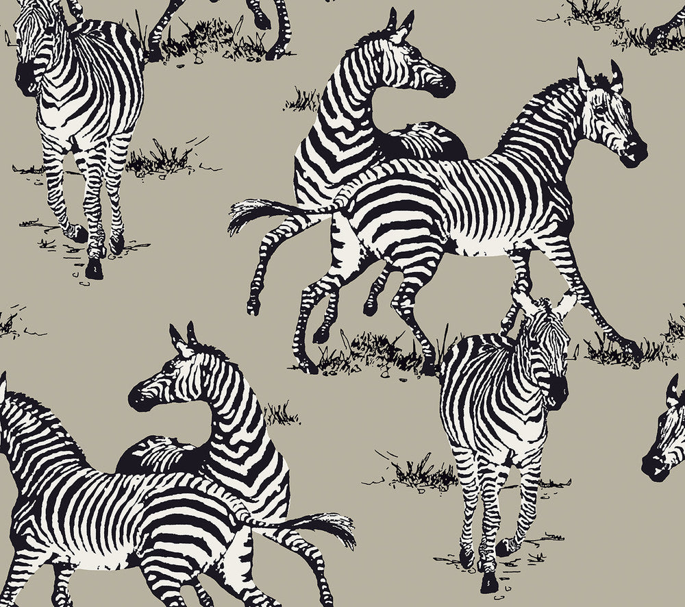 Playful Zebras Light Blue by Seabrook Wallpaper Harry & Grace Peel and Stick United States 40.5 24" 27" - Fabric Carolina -