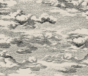 Clouds Beige & Black by Seabrook Wallpaper