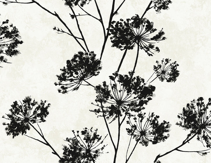 Dandelion Floral Ebony by Seabrook Wallpaper Harry & Grace Peel and Stick United States 40.5 20.87" 27" - Fabric Carolina -