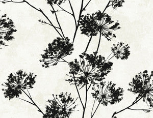Dandelion Floral Ebony by Seabrook Wallpaper