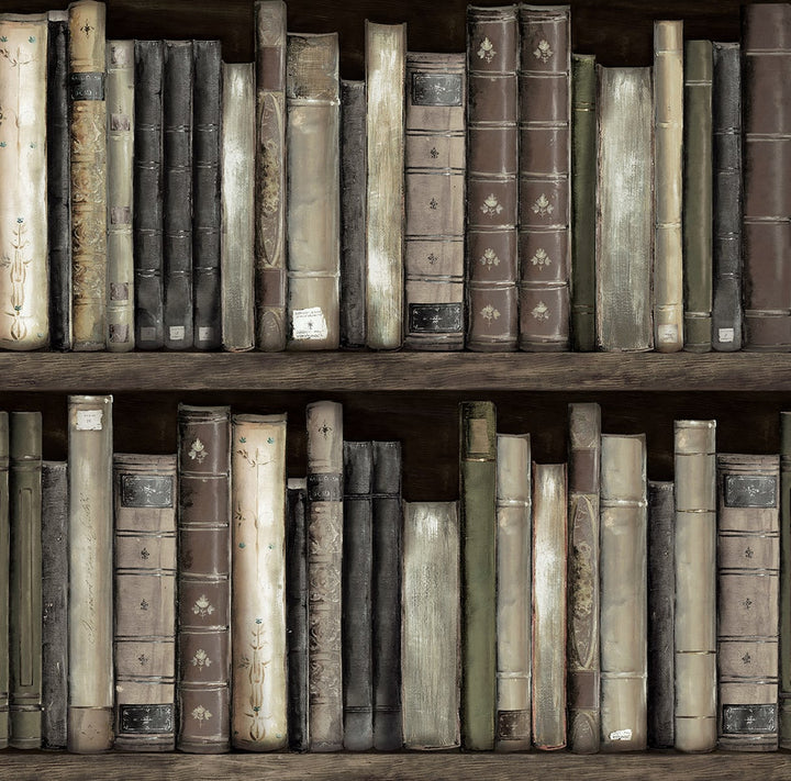 Faux Bookshelves Shale by Seabrook Wallpaper Harry & Grace Peel and Stick United States 30.75 20.5" 20.5" - Fabric Carolina -