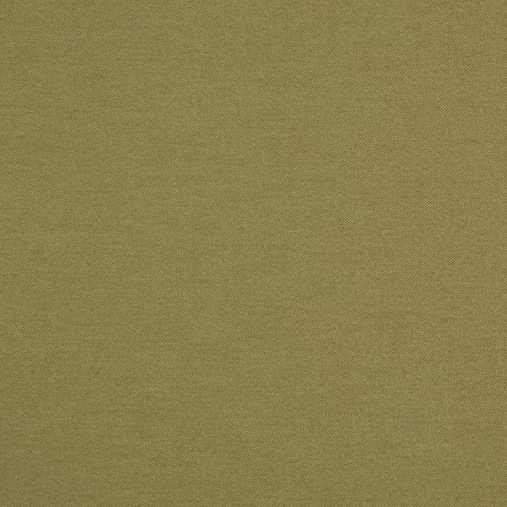 Hatha # 05 Linden by Maxwell Fabric Curled Up V 100% POLYESTER CHINA 57.5" - Fabric Carolina -