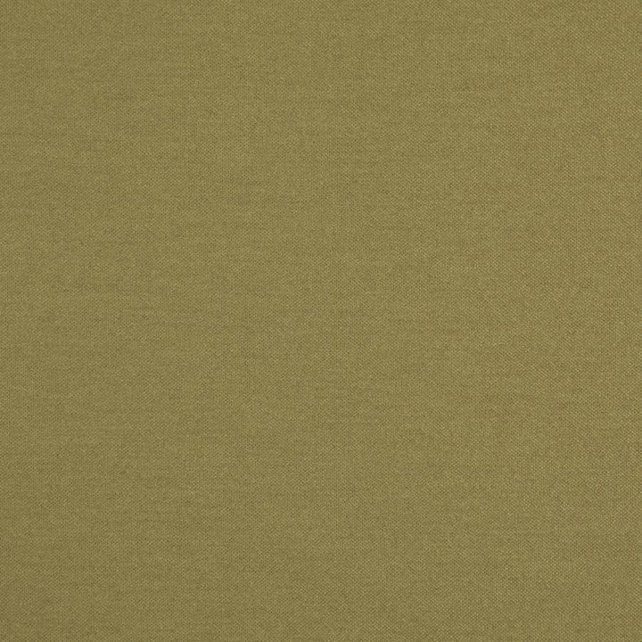 Hatha # 05 Linden by Maxwell Designer Fabric Curled Up V 100% POLYESTER CHINA 57.5" - Swanky Fabrics -