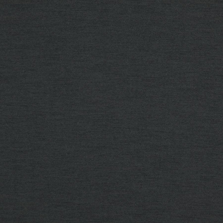 Hatha # 16 Charcoal by Maxwell Fabric Curled Up V 100% POLYESTER CHINA 57.5" - Fabric Carolina -