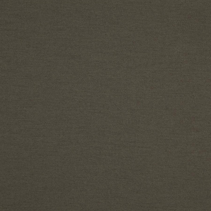 Hatha # 20 Fossil by Maxwell Fabric Curled Up V 100% POLYESTER CHINA 57.5" - Fabric Carolina -