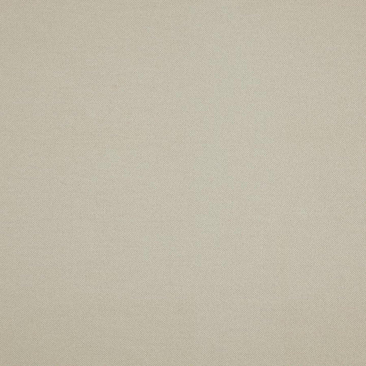 Hatha # 25 Angora by Maxwell Fabric Curled Up V 100% POLYESTER CHINA 57.5" - Fabric Carolina -