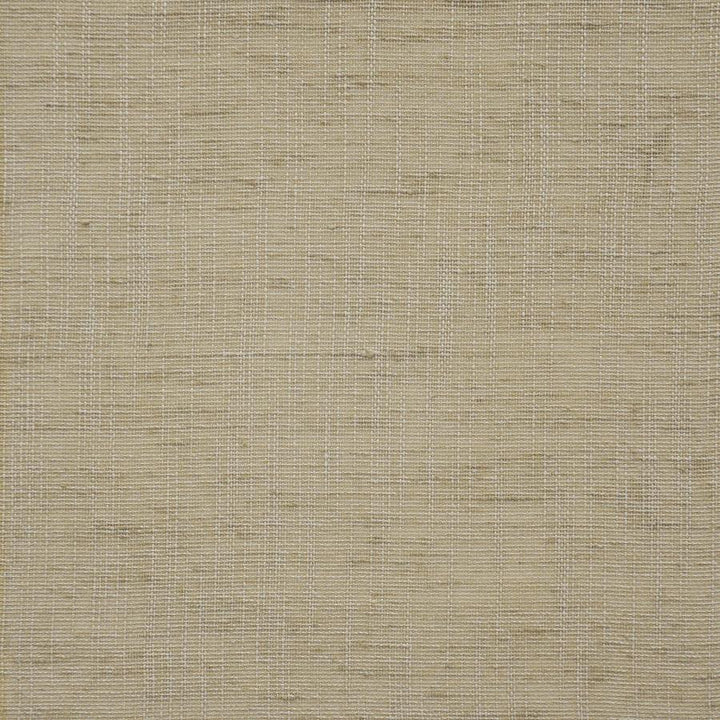 Hope # 128 Biscotti by Maxwell Fabric Pure & Simple Ix 100% POLYESTER INDIA 54" - Fabric Carolina -