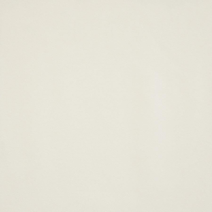 Hedi # 780 Fleece by Maxwell Fabric Velvet Room 82% POLYESTER/18% COTTON SOUTH KOREA 55" - Fabric Carolina -