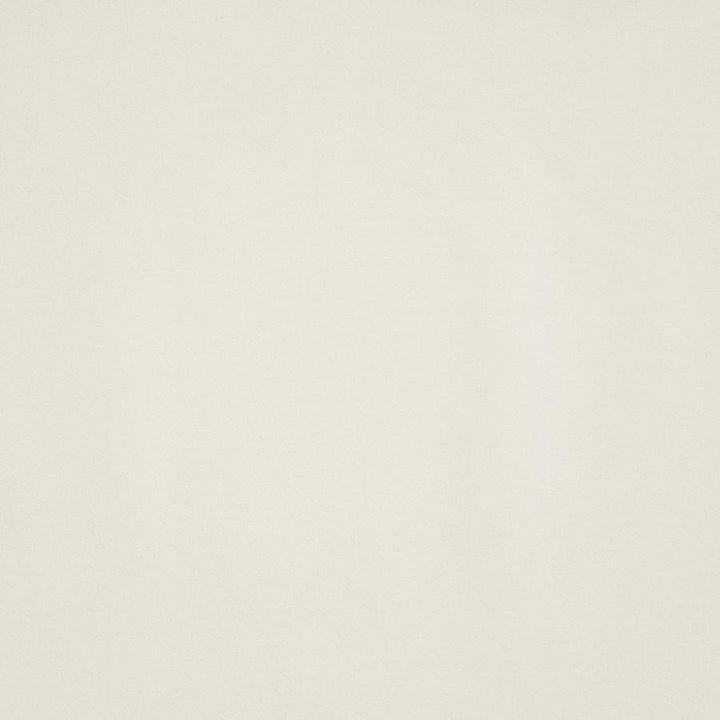 Hedi # 780 Fleece by Maxwell Fabric Velvet Room 82% POLYESTER/18% COTTON SOUTH KOREA 55" - Fabric Carolina -