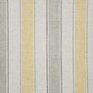 Holland # 411 City Scape by Maxwell Fabric