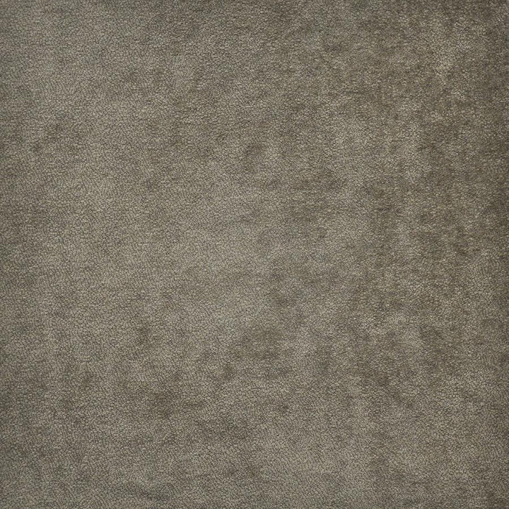 Hyde # 657 Almond by Maxwell Fabric Performance Wovens-Vol.Iv Smokeshow 53% POLYESTER/40% ACRYLIC 7% VISCOSE TURKEY 54" - Fabric Carolina -