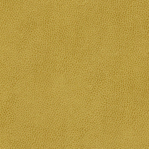 Hermitage-Nj # 1303 Lawn by Maxwell Fabric