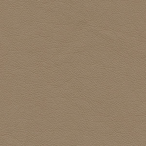 Highborn-Nj 387 Cookie by Maxwell Fabric