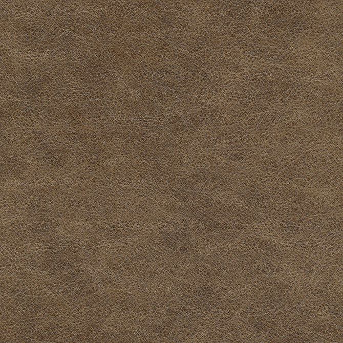 Hoth-Nj # 698 Traverse by Maxwell Fabric Memos Only-Coated Fabrics FACE: 100% PVC
BACKING: 100% POLYESTER VIETNAM 54" - Fabric Carolina -